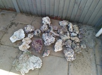 Marine live rock (dry)