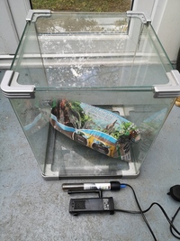 40L Cube with Filter, Heater and some Substrate