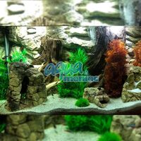 Aquarium Backgrounds REAL 3D FOR ANY AQUARIUM or Viv