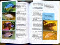 Back to Nature book to Malawi Cichlids Second Edition by Ad Konings SUPER NEW LOWER PRICE TO CLEAR £3.99