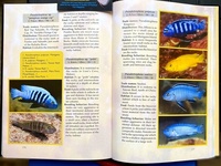 Back to Nature book to Malawi Cichlids Second Edition by Ad Konings SUPER NEW LOWER PRICE £3.99