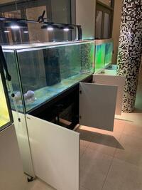 FAIRLY USED QUALITY AQUARIUMS FOR SALE