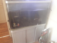 4ft fish tank and cabinet