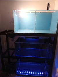 3 tier steel aquarium rack with 36 inches by 18 inches fish tanks Burnley