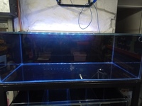 3 tier steel aquarium rack with 54 inches by 24 inches fish tanks Burnley