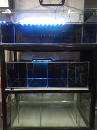 3 tier steel aquarium rack with 54 inches by 24 inches fish tanks Burnley