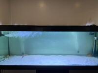 Fish Tank 6ft (whole set up) FX6 Filter Set, Juwel LED, Black Diamond Stingrays - £1500 ONO