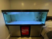 Fish Tank 6ft (whole set up) FX6 Filter Set, Juwel LED Lights [ £800 ONO ]