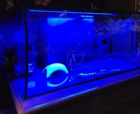 Fluval flex 123L fresh water in black plus loads of extras
