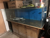 6x2x2 fish tank free