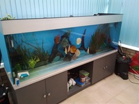 7 foot aquarium and equipment
