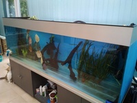 7 foot aquarium and equipment