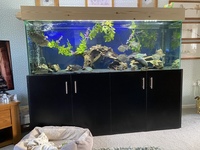 6x2x2 fish tank.
