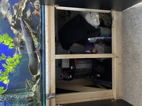 6x2x2 fish tank.