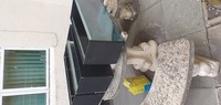 Fish room racking