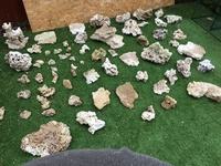 Dead Live Rock