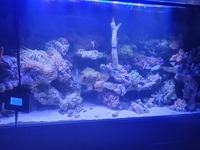 Full marine tank