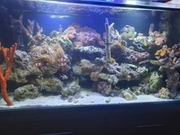 Full marine tank
