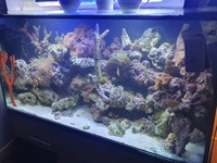 Full marine tank