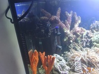 Full marine tank