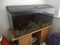3ft Clearseal full tank setup for sale - SOLD pending collection