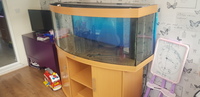 Juwel 450l 5ft dome fishtank and stand