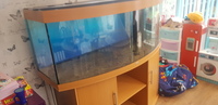 Juwel 450l 5ft dome fishtank and stand