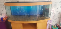 Juwel 450l 5ft dome fishtank and stand