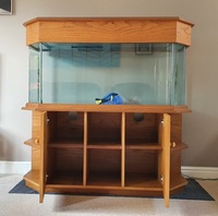 200L Tank with cabinet and hood