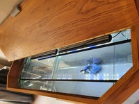 200L Tank with cabinet and hood