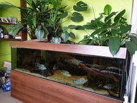 50% OFF - Custom design Euro braced 750litre tank & stand