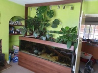 50% OFF - Custom design Euro braced 750litre tank & stand