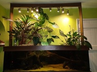 50% OFF - Custom design Euro braced 750litre tank & stand