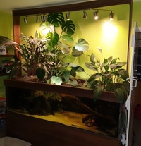 50% OFF - Custom design Euro braced 750litre tank & stand