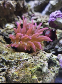 OFFERS ON MY MARINE STOCK
