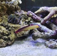 OFFERS ON MY MARINE STOCK