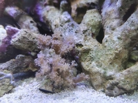 OFFERS ON MY MARINE STOCK