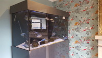 Large Aquarium & Stand