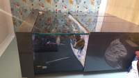 Large Aquarium & Stand