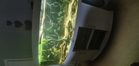 Juwel Vision 450ltr with Cabinet