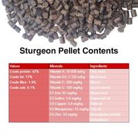 Affordable Pellets, Cichlid Sticks, Catfish Pellet & Sturgeon Pellets.
