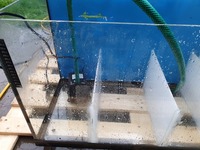 Fish tank +sump £110