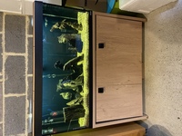 Fluval Roma 240 Aquarium and Cabinet - Oak £200