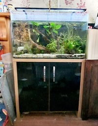 AquaOne aquanano 80 aquarium plus stand for sale
