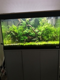 Fully aquascaped fish tank with everything included