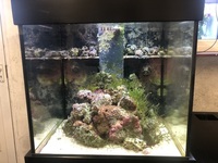Aqua one 275