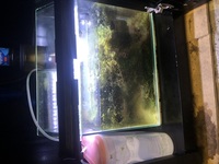 Aqua one 275