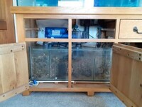 £499 ONO - Aqua Oak 5ft x 2.5ft x 2ft 350L Aquarium & Cabinet & equipment - Ashford, Kent