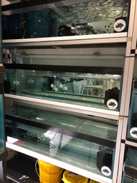 Fish tanks & racking