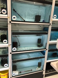 Fish tanks & racking